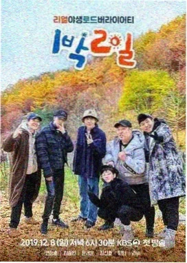 帐篷外面是欧洲